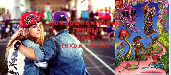 сатива Горно-Алтайск
