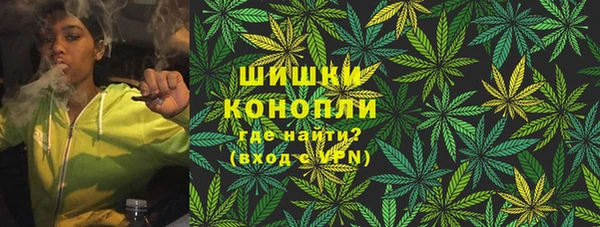 сатива Горно-Алтайск