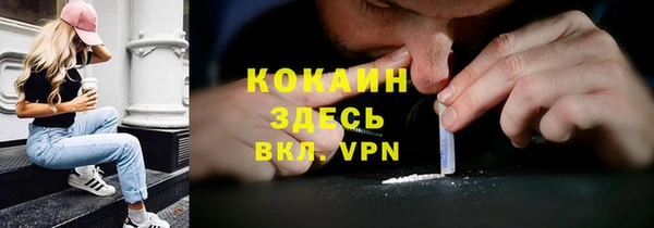 молекула духа Горняк