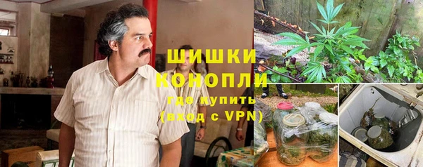 сатива Горно-Алтайск
