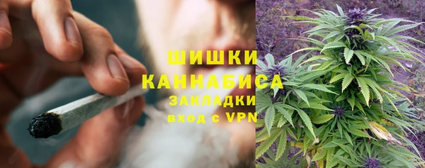 МДПВ Горнозаводск