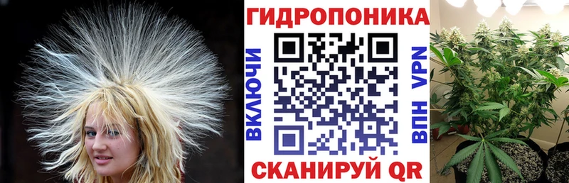 Купить  Облучье  Бошки марихуана семена 